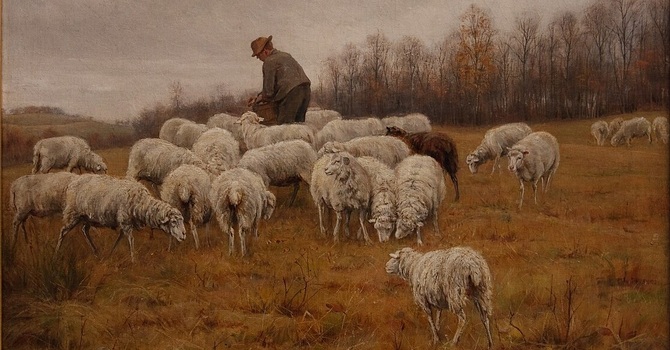Belonging Before Believing: A New Look at the Good Shepherd
