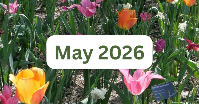 May 2026 Newsletter image