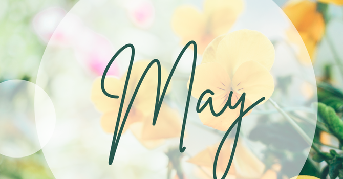 Bulletin | May 3, 2026