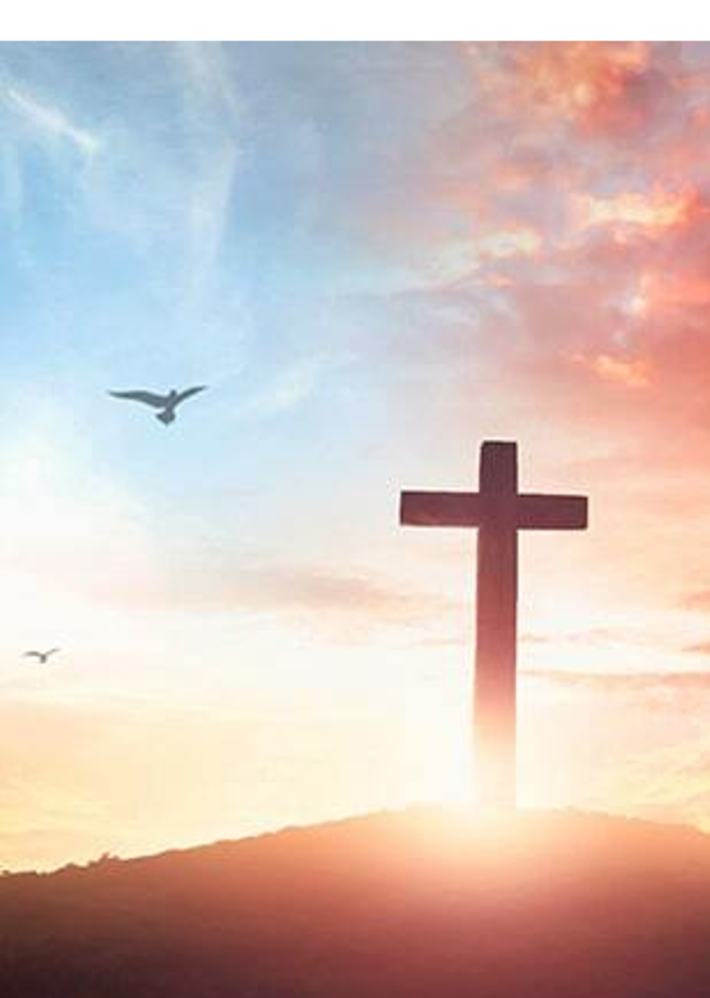 Fifth Sunday of Easter, 2026