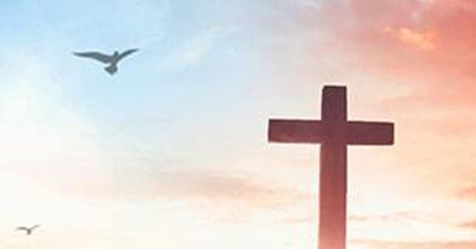 Fifth Sunday of Easter, 2026