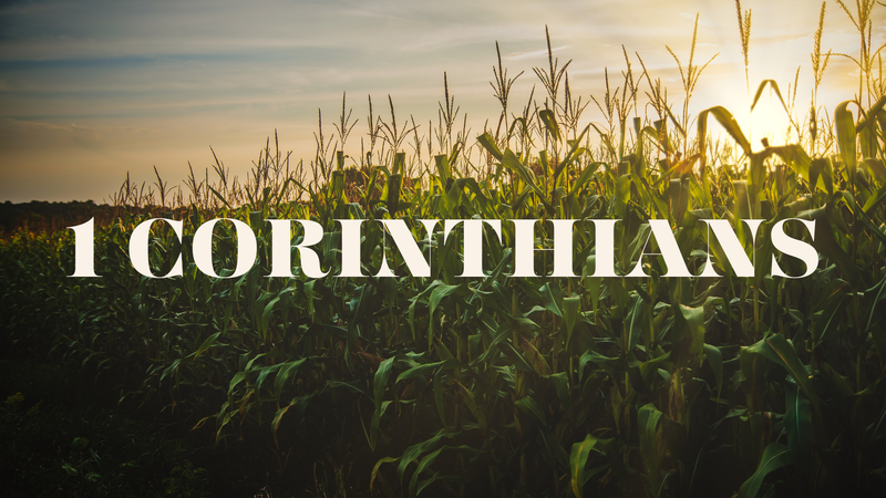 1 Corinthians 12:12-31
