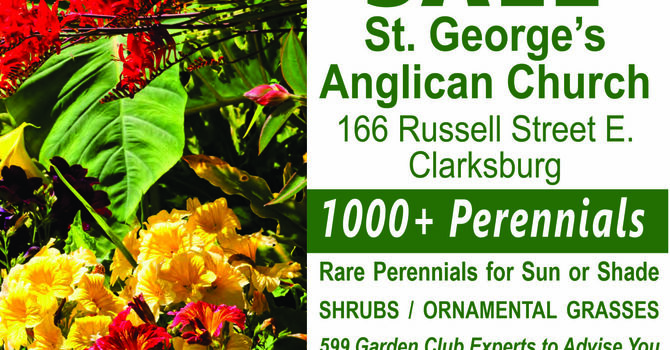 St. George's Giant Plant Sale