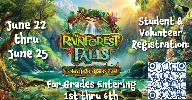 Rainforest Falls VBS