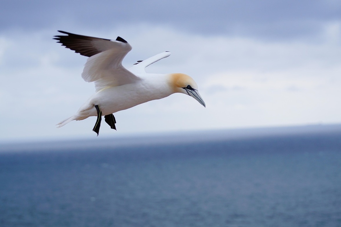 Slideshow image