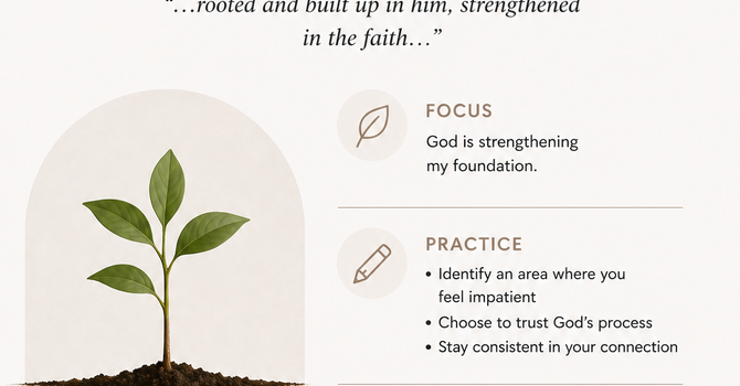 Rooted Before Built image