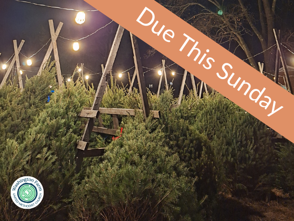 Christmas Tree Project: Share Your Voice