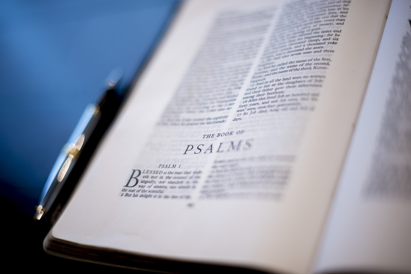 The Great Shepherd (Part 1)