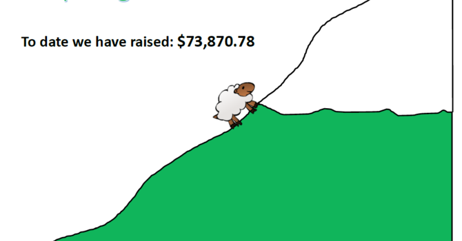 Help us get a Pastor faster!