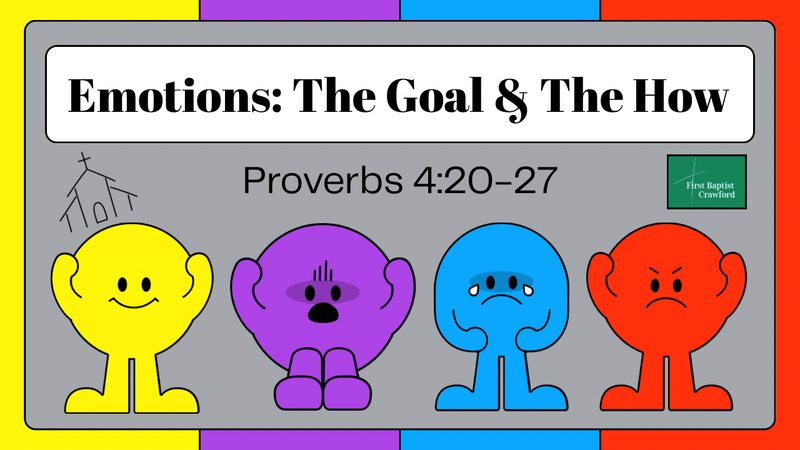 Emotions: The Goal & The How