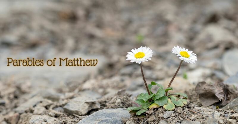 Matthew 13:24-30 & 36-43