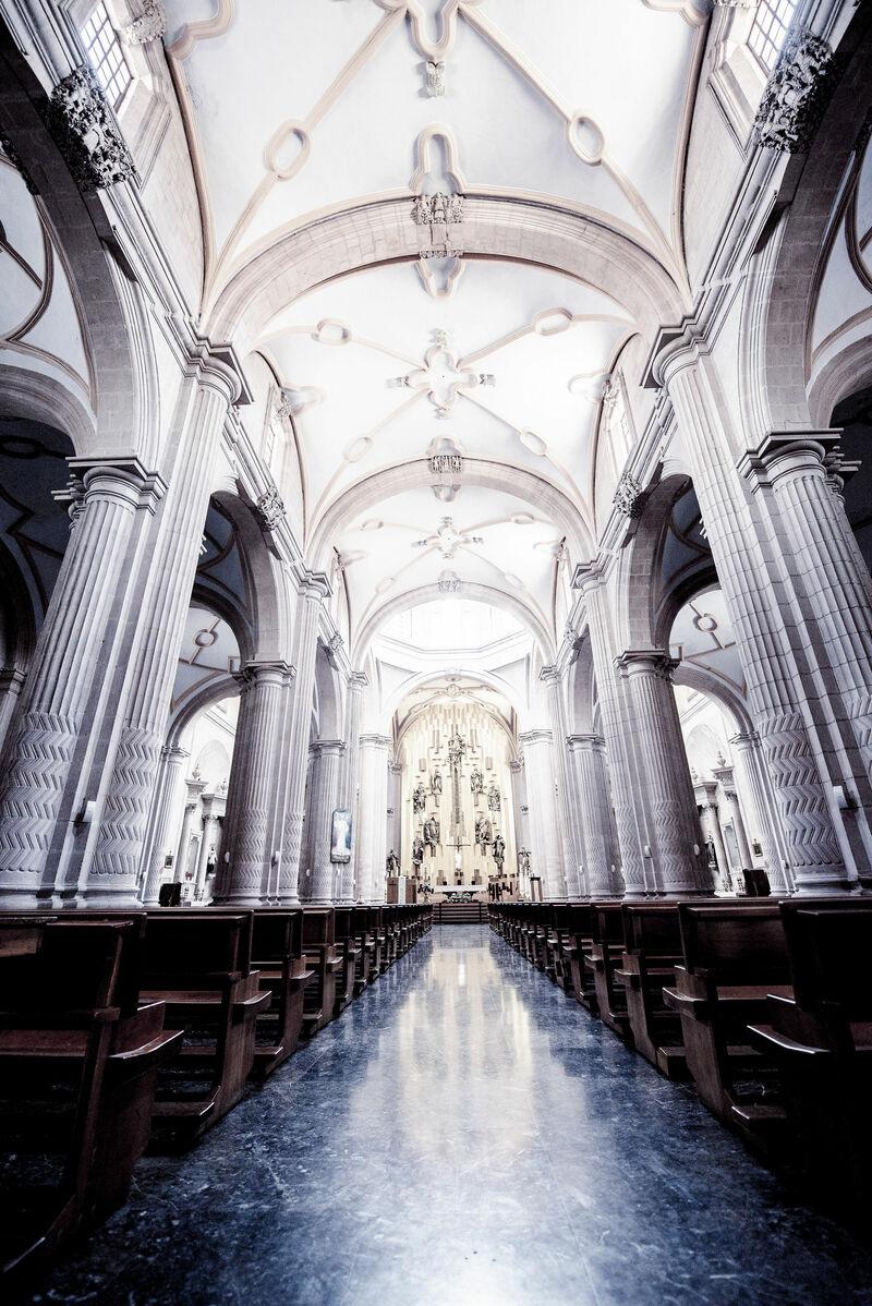 A Royal Priest to the Holy Nation