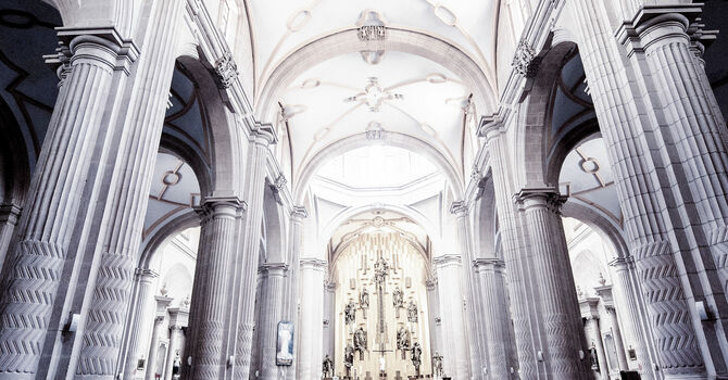 A Royal Priest to the Holy Nation