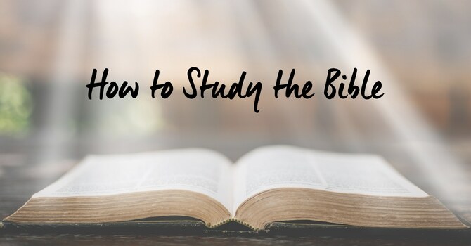 Ladies' Tuesday Study