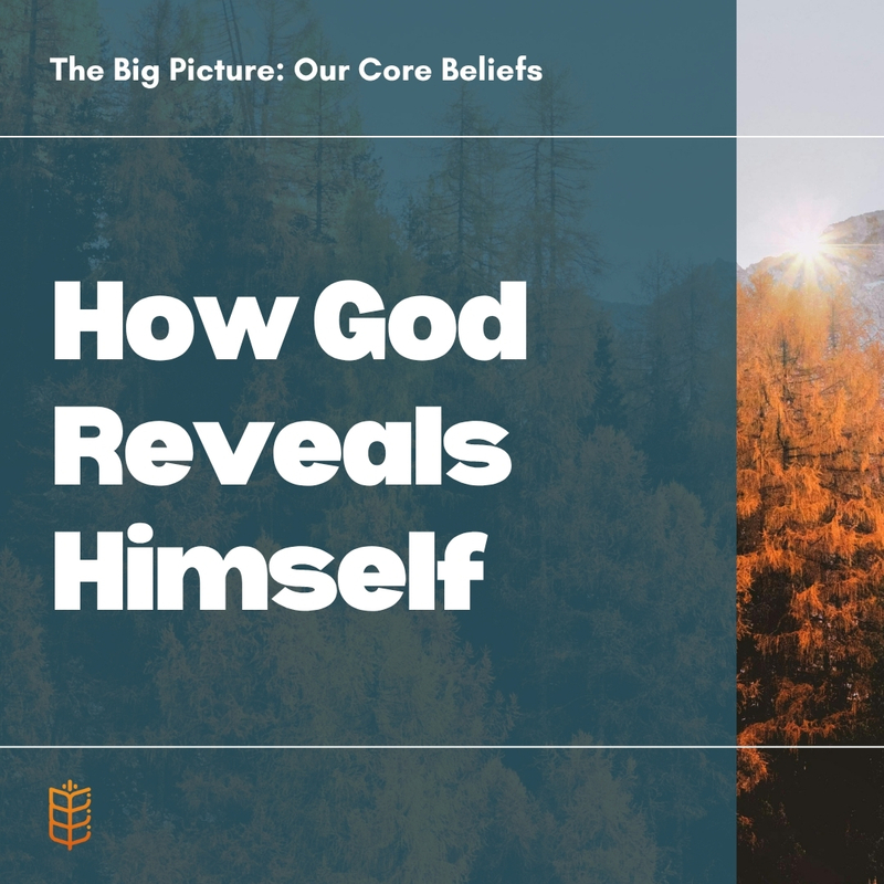 How God Reveals Himself