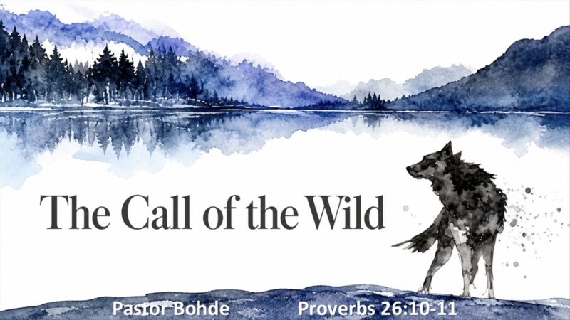"The Call Of The Wild"