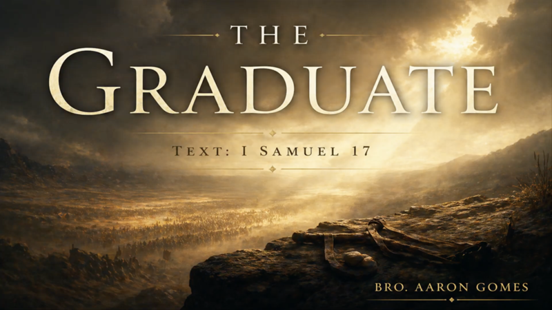 "The Graduate"