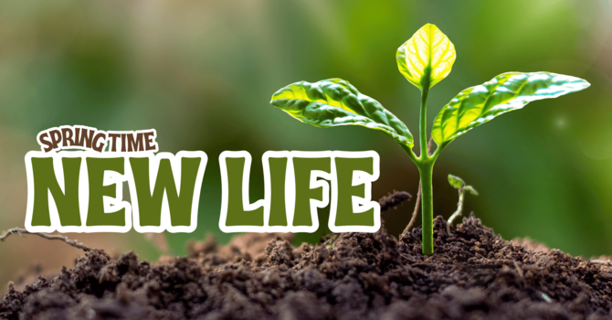 Springtime, New Life