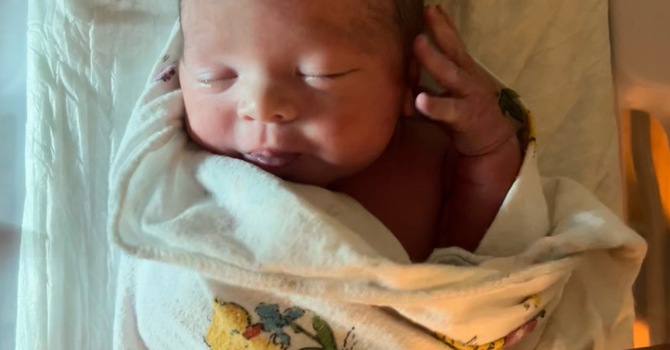 Miles Cotton has arrived! image
