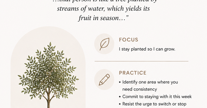 Stay Planted image