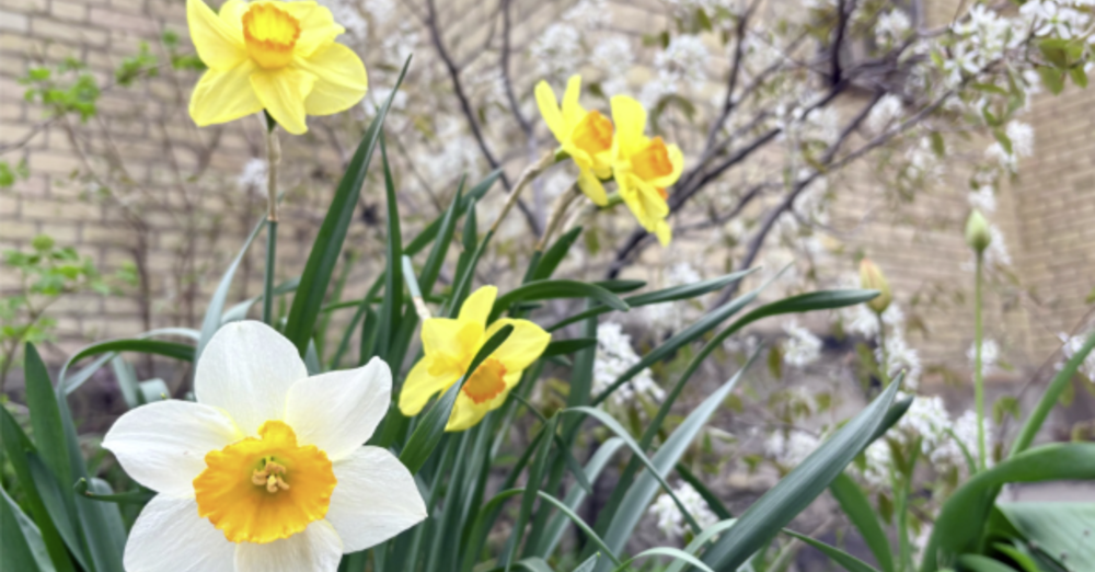 The Sixth Sunday of Easter - May 10, 2026
