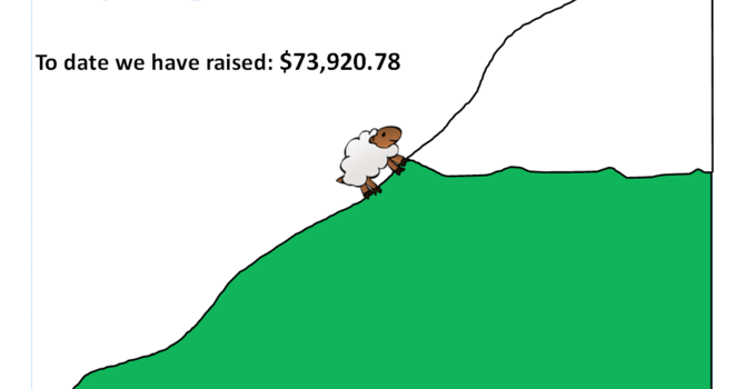 Help us get a Pastor faster!