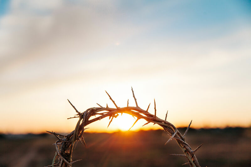 Christ and Calamity: Grace & Gratitude in the Darkest Valleys