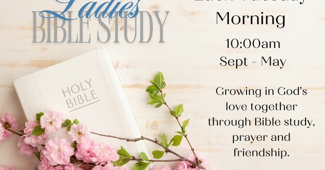 Ladies’ Bible Study Group