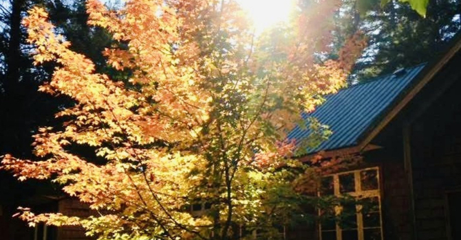 CHRIST CHURCH GABRIOLA, 2026 ANNUAL REPORT