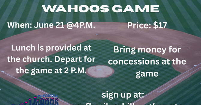 Blue Wahoos Game