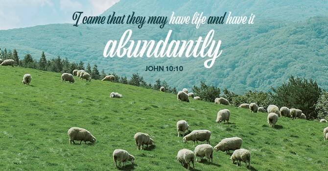 I came that they may have life and have it abundantly
