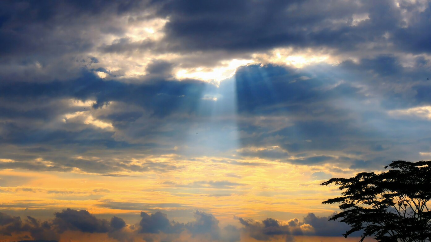 Slideshow image
