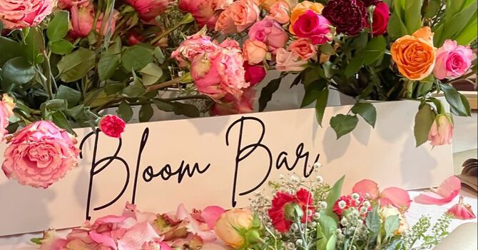 Bloom Bar and Lunch