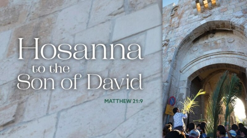 Hosanna to the Son of David