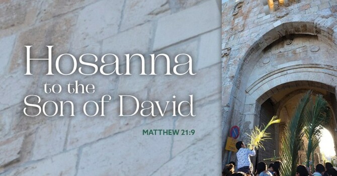 Hosanna to the Son of David