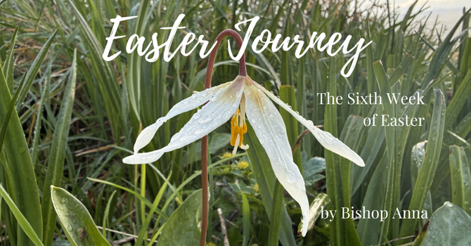 A Message for the Sixth Week of Easter image