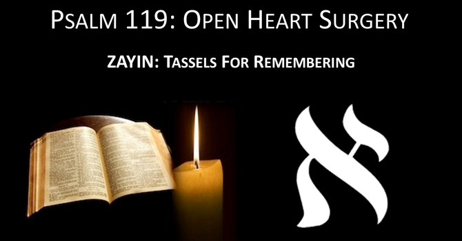 #7: ZAYIN- Tassels For Remembering