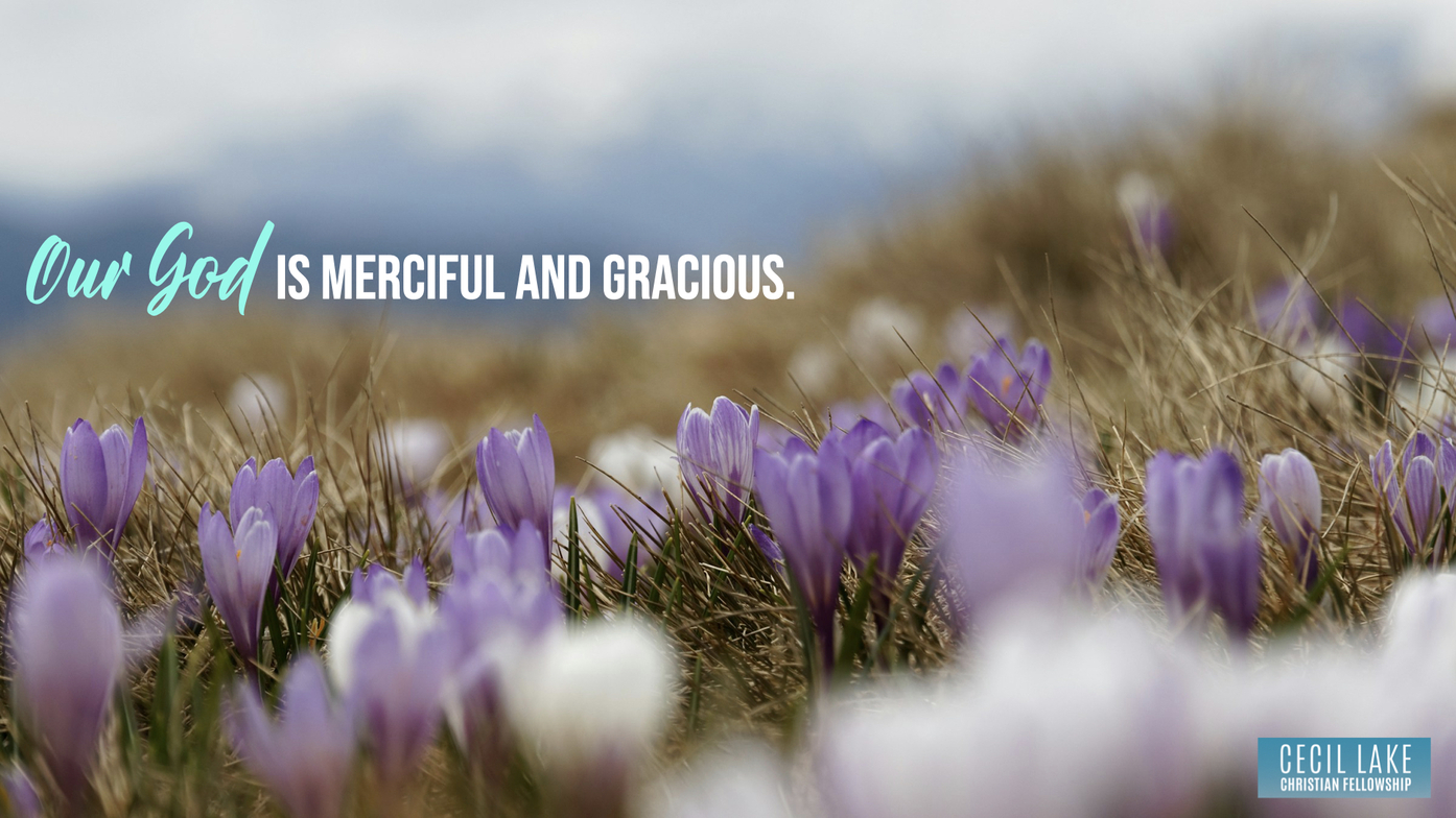 Slideshow image