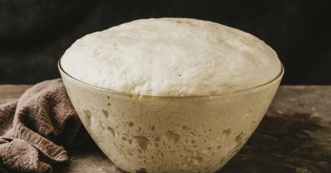 The Mustard Seed and The Leaven
