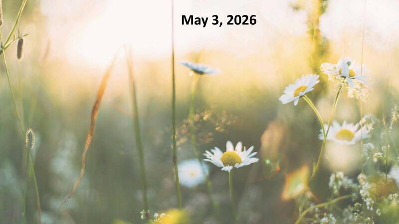 Sermon: “The Bislett Effect”