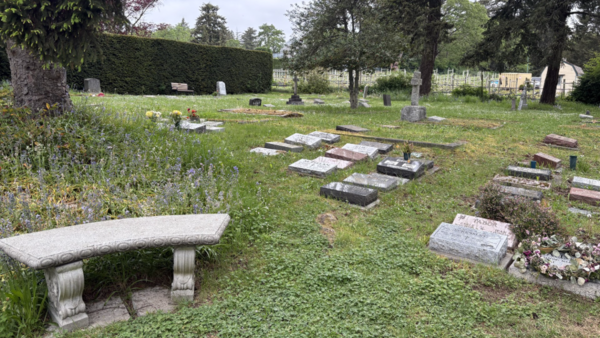 Cemetery Licence