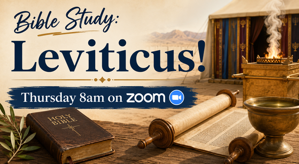 The Rector's Bible Study
