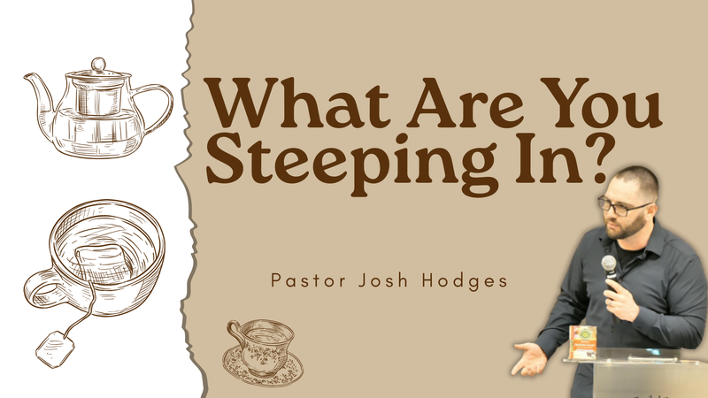 What Are You Steeping In?