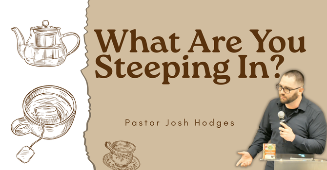 What Are You Steeping In?