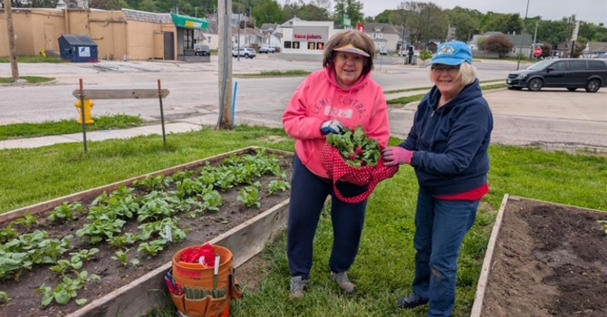 BUMC Community Gardens Planting image