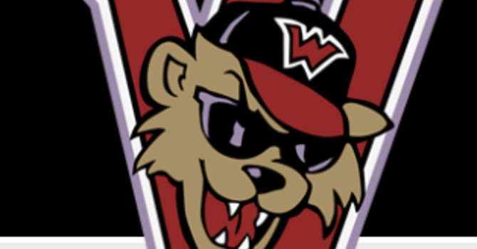 Washington Wild Things Game
