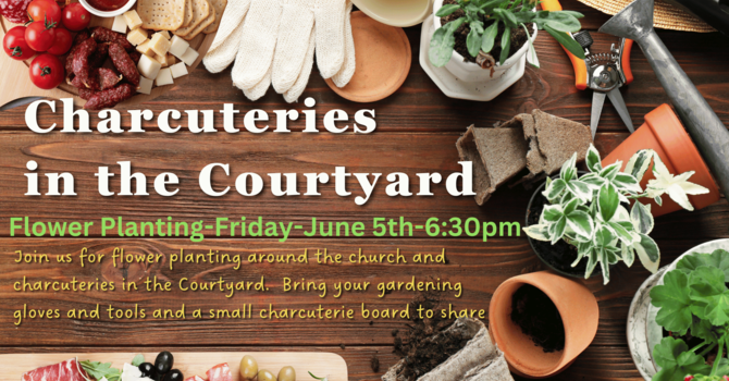 Charcuteries in the Courtyard