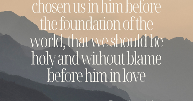 Purity: Living from a New Nature image