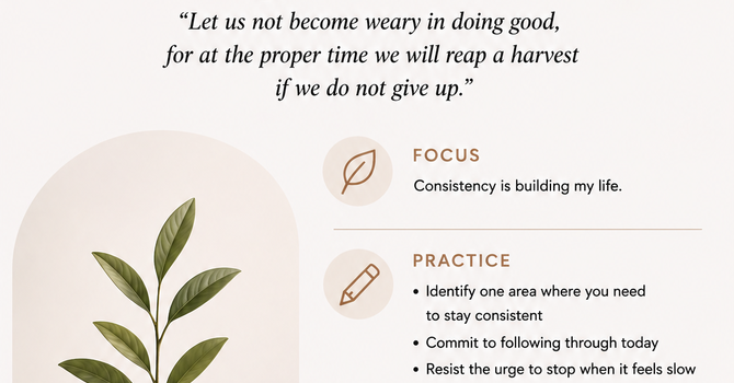 Built Through Consistency image
