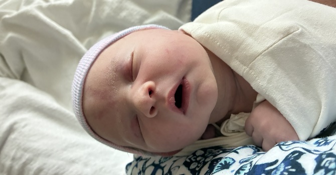 Jonah Hamilton is here! image